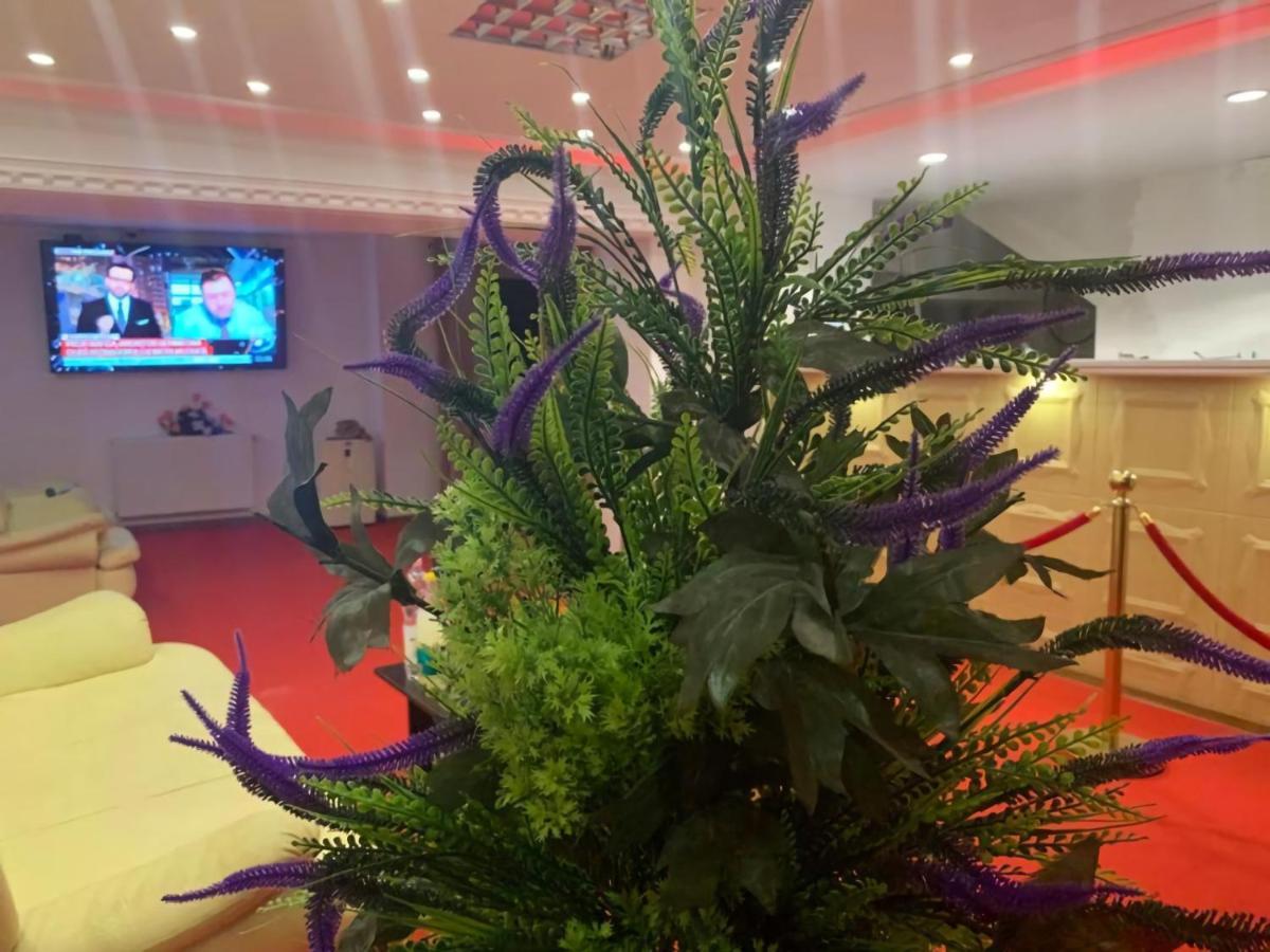 Karra Hotels Voluntari Bagian luar foto